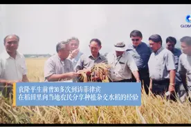 全球连线 | 菲律宾前总统：不忘袁隆平对菲减贫事业贡献图片