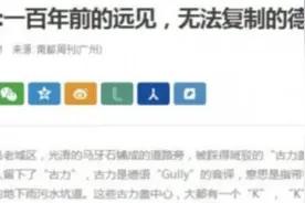 啪啪打脸！经典公知爽文共赏，这些国家自己都不敢这么吹图片
