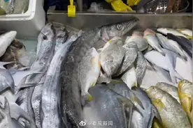 这些东西和海鲜天生不和图片