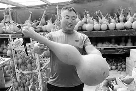 一个村30多家院里生出“葫芦娃”图片
