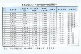 山西加强省属企业债务融资和资金管理 需提前6个月制定还款计划 并按负债率进行分类监管图片