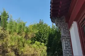 教师节｜有幸遇到，感恩赐教图片
