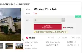 1元起拍杭州千万江景豪宅！原主人在墨西哥被缉捕回国，被判集资诈骗罪图片