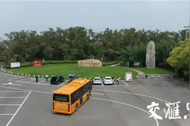 激发发展新活力，泰兴红色生态旅游公交专线成为乡村振兴“红色引擎”图片