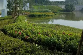 凤鸣湖公园首开区雏形初显，快来先睹为快吧图片