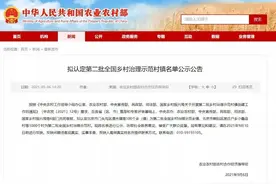 国家级名单公示！黑龙江3乡镇、29村上榜图片