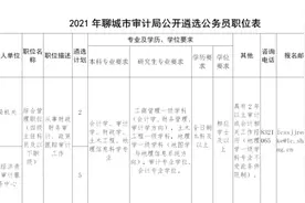13日起报名，聊城市审计局公开遴选公务员图片