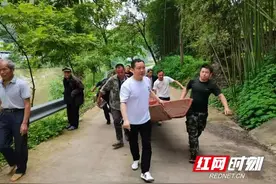 鱼虾成群正当时——泸溪县沅江流域禁捕退捕初战告捷侧记图片