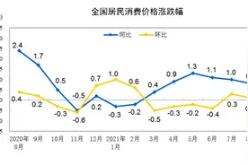 8月CPI涨0.8%，猪肉价格下降44.9%带动CPI涨幅创近5个月新低，PPI同比涨9.5%冲至多年来高位图片