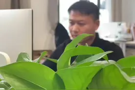 中秋节将至 今年你能回家团圆吗？《今夕共西溪》邀你写家书获免费门票图片