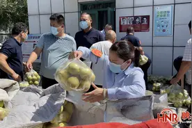 《郑州郊区千亩梨园大量烂梨就地掩埋》后续：郑州公交车长团购酥梨2000余斤 解决果农燃眉之急图片