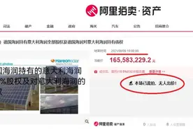 21特写丨永别了，海润光伏图片
