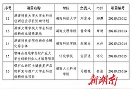 湖南支持2021年大学生科技创新创业项目16项图片