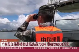 广东阳江海警查处走私冻品700吨  案值约6000万元视频封面