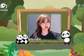 熊猫百问你来问｜大熊猫有什么致命疾病？图片