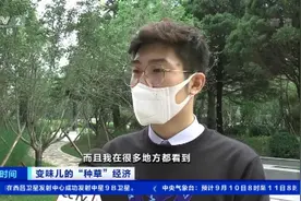 素人种草笔记，还能有假的？竟是水军公司虚假营销！“种草”笔记3元一篇，你被套路了吗？图片