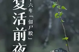 汇绿生态实地调查：苗木基地亦真亦幻、土地流转冲击耕地红线，16年“僵尸股”复活疑云图片