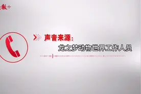 50元就能摸白虎幼崽？专家：这样不好，对人对虎都不好图片