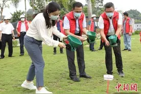 红火蚁在粤快速蔓延 广东加强科学防控力度图片