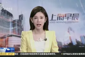 上海“五个新城”总体城市设计已完成  250多项年度重大项目正在推进视频封面