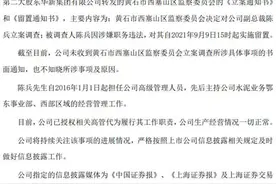 华新水泥副总裁陈兵因涉嫌职务违法被留置调查图片