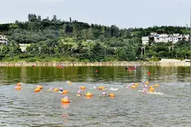280余名游泳运动员齐聚四川广元 搏浪击水畅游嘉陵江图片