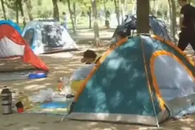 果然视频丨公园草地上扎起帐篷，济南市民周末到森林公园休闲放松图片