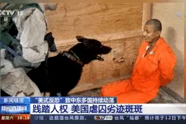 虐待、毒打、放狗咬……亲历者讲述美国虐囚劣迹图片