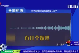 全国热搜：广东猪兼强驾校被裁定破产视频封面