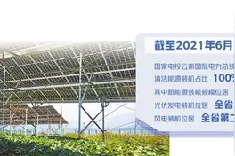 国家电投发力绿色能源图片