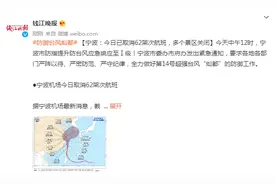 宁波：今日已取消62架次航班，多个景区关闭图片