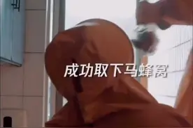 猝不及防！消防小哥帮大妈清除马蜂窝被扑脸式擦汗图片