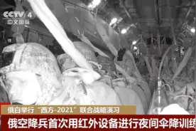首次！俄空降兵演练用红外设备夜间伞降图片