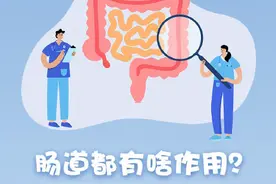 为啥说“万病之源，始于肠道”？3张图告诉你图片