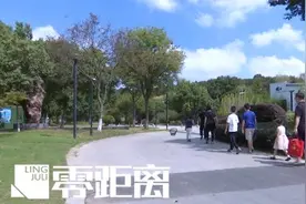 南京一公园内惊现成群流浪狗，体型偏大引发担忧图片