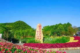【助力共同富裕】湖州市安吉县创新“三项机制”激活新乡贤新动能同筑共富路图片