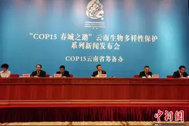 云南已退出小水电站301座 计划明年底全面完成清理整改图片