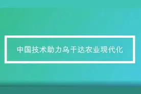 全球连线|中国技术助力乌干达农业现代化视频封面