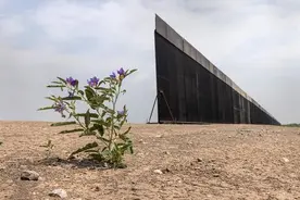 美媒：美国得州计划修建超1100公里边境墙图片