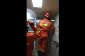 视频丨蝙蝠夜闯民宅吓坏居民 这些方法教你如何有效驱赶图片