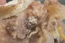 吉林食客投诉骨头里吃出大量蛆虫，官方：已介入调查图片