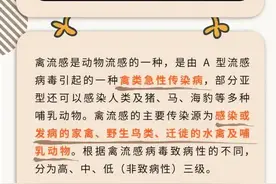 禽流感会人传人吗？吃鸡肉会得禽流感吗？图片