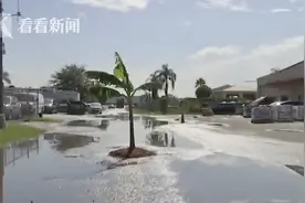 为填补道路坑洞 美国男子竟在路中间种香蕉树图片