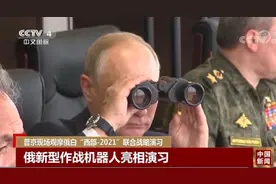 此次演习为何让北约忐忑不安？图片