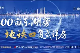 一线湖景！户型硬核！人民路正地铁口！复式洋房马上开图片