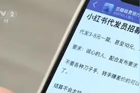 央视曝光种草笔记灰色产业链：假冒素人种草笔记1篇3元视频封面
