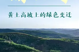潮头观澜｜黄土高坡上的绿色变迁图片