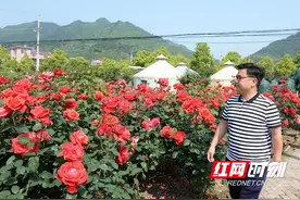 根植乡村旅游的奋斗者——记泸溪县返乡助力乡村振兴领头人陈寿鱼图片
