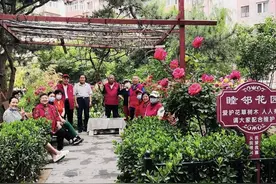 北京第一代花园小区，杂物曾堆满绿化带，现在花园啥样了？图片