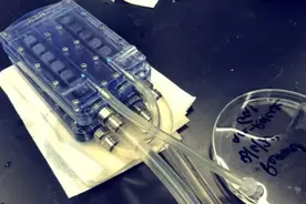 科学家开发的生物人工肾原型通过实验室测试 有望取代透析治疗图片